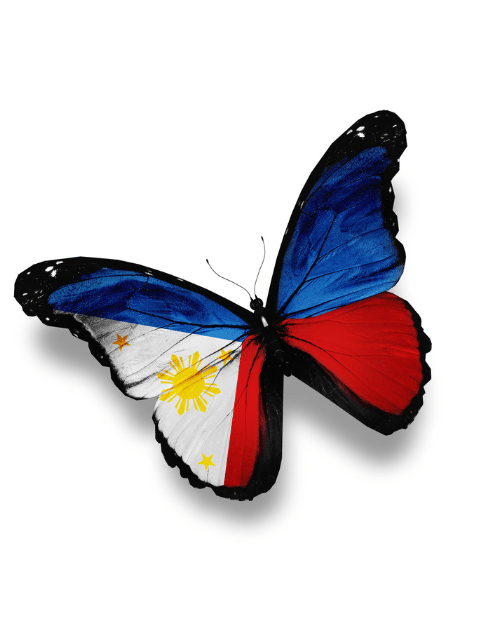 Philippine Flag on a Butterfly