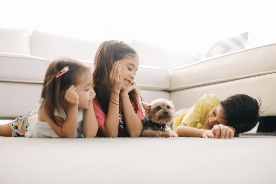 Filipino Siblings and Thier Dog Lying on the Floor - The Cultural Differences to Expect When Dating a Filipina - Blossoms Dating Blog