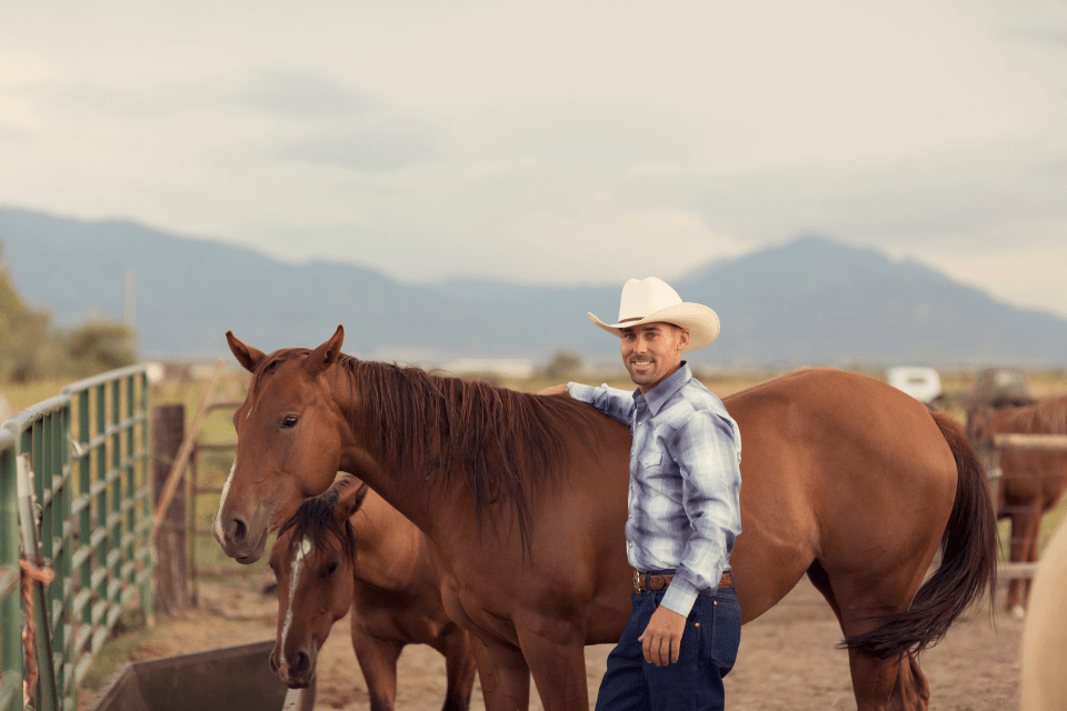 American cowboy with his horses.
